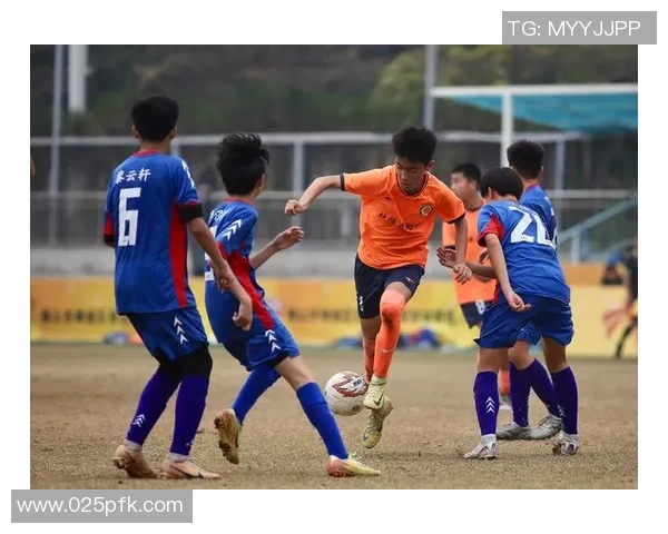 中国足球圈子深度解析：从青训体系到职业联赛的全面发展与挑战